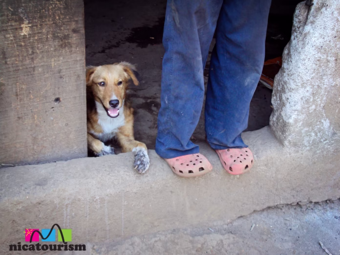 Docs n crocs Docs n crocs