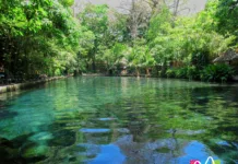A treasure to be seen – Ojo de Agua Another natural pool at Ojo de Agua
