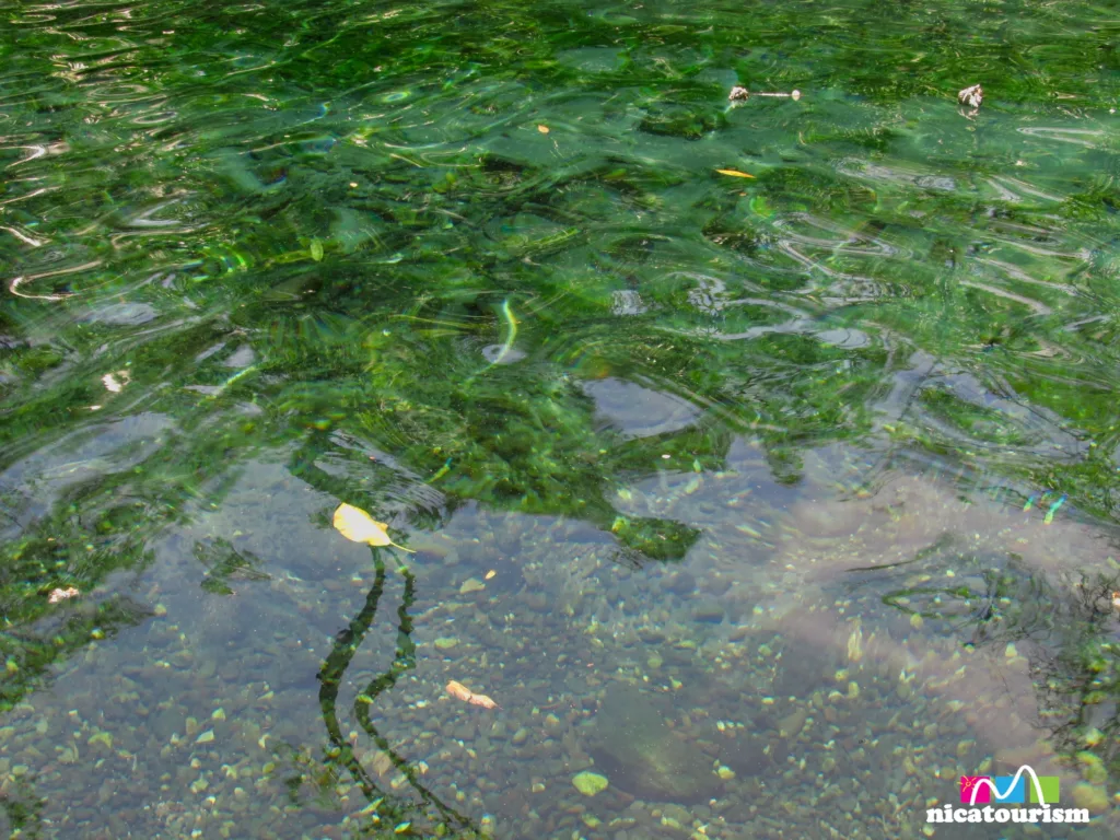 Sparking water at Ojo de Agua, Ometepe, Nicaragua