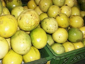 Yellow passion fruits for sale. Picture taken ...