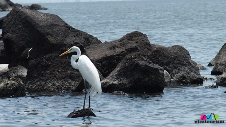 The Wonderful Isletas in Granada, Nicaragua