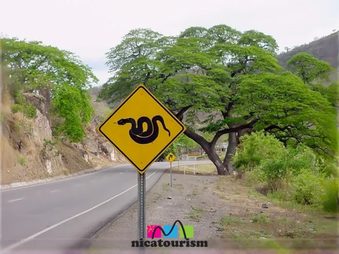 Rótulo sobre culebras