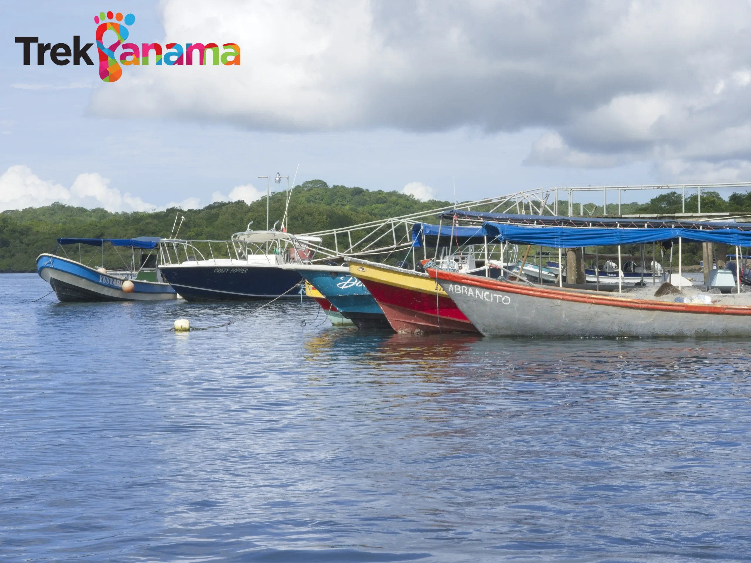 Whale watching in Chiriquí