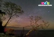 Mesmerizing Starry Nights at Redonda Bay, Rivas, Nicaragua Starry Nights at Redonda Bay