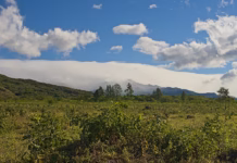 🌄 Discovering the Hidden Charms Near Boquete, Panama Surround highlands in Boquete, Panama