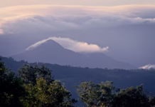 🌄 Mystical Mornings in Boquete: Panama’s Highland Paradise Boquete